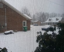 Demo feature snow