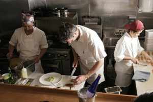 cooks-and-kitchen-workers-image